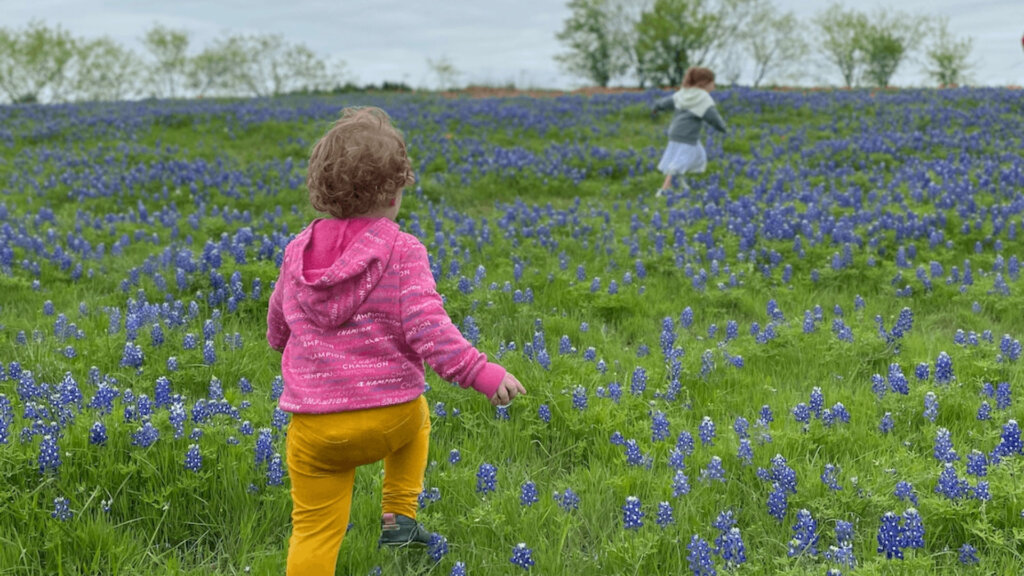 Children running through a bluebonnet field in ennis, texas