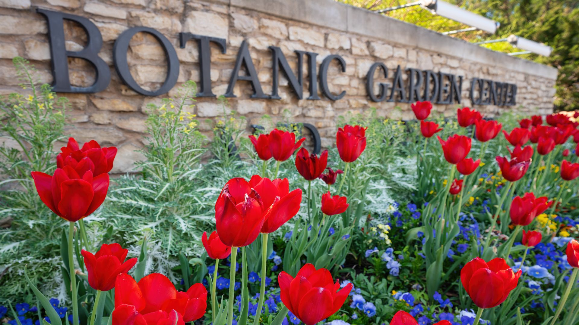 Featured image for “Fort Worth Botanic Garden Earns the Nation’s Highest Museum Honor”